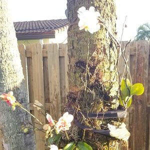 Meet your Posher, Jennyfer